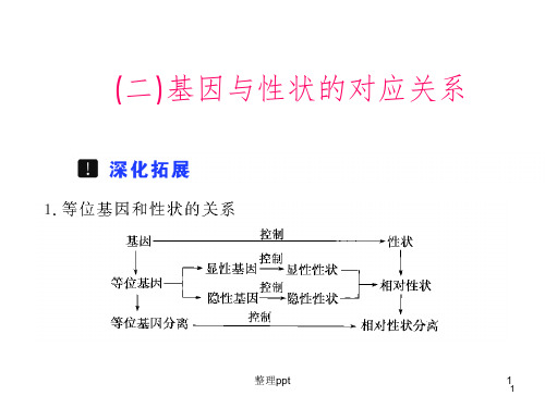 高中生物必修2基因和性状的关系