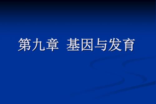 徐建蕊第九章基因与发育