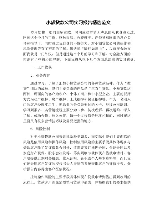 小额贷款公司实习报告精选范文