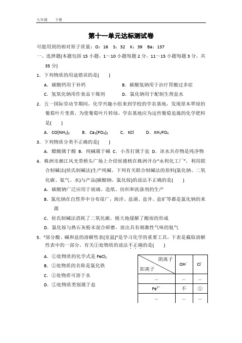 2020春人教版九年级化学下册 第11单元 全单元测试卷(2套)