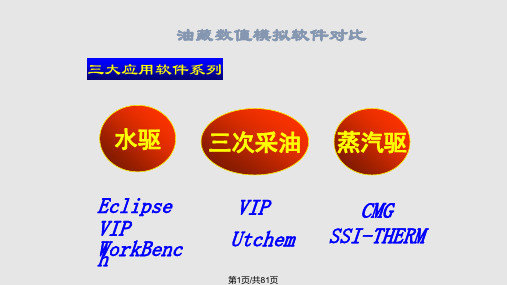 CMG简介解析实用PPT课件