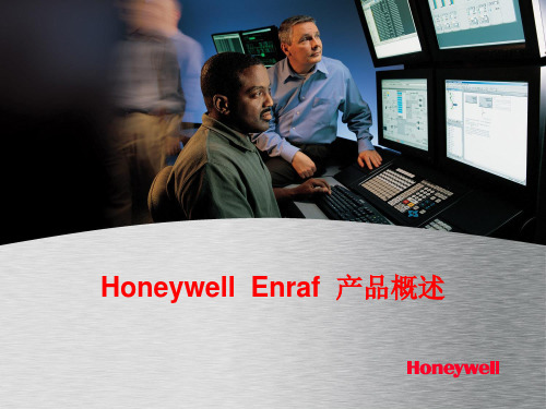 Honeywell Enraf 产品概览