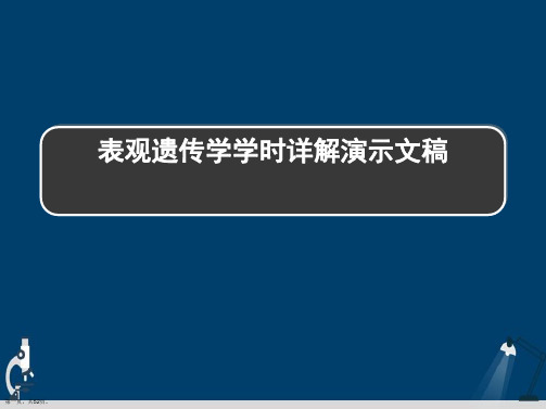 表观遗传学学时详解演示文稿