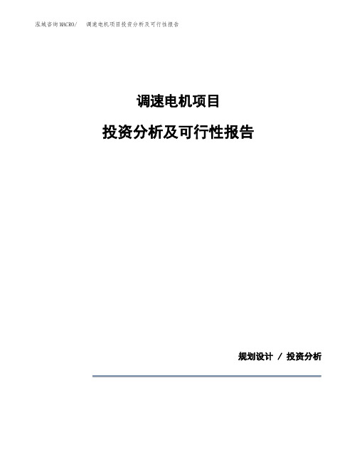 调速电机项目投资分析及可行性报告