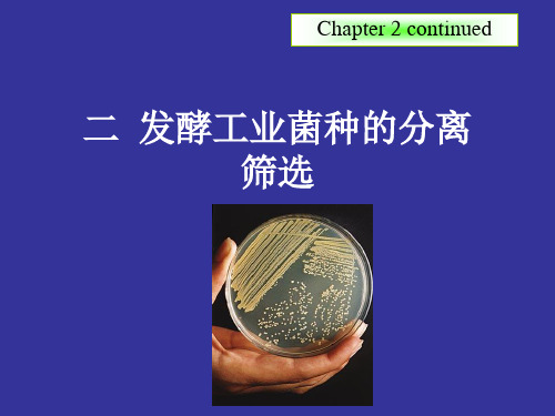 发酵工程与设备第二章、第二讲发酵工业菌种的分离筛选