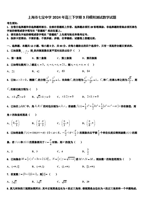 上海市七宝中学2024年高三下学期3月模拟测试数学试题