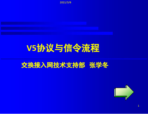 V5协议及信令流程20020730B