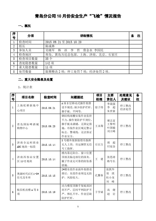 安全生产“飞检”情况报告