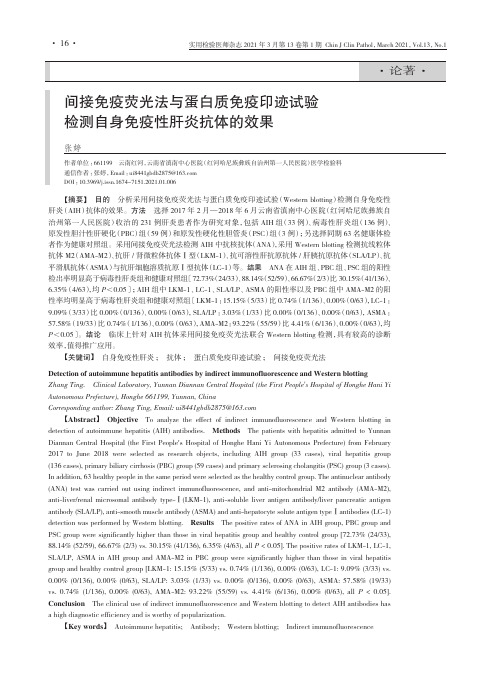 间接免疫荧光法与蛋白质免疫印迹试验检测自身免疫性肝炎抗体的效果