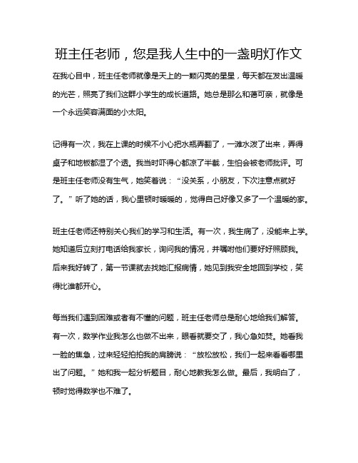 班主任老师,您是我人生中的一盏明灯作文