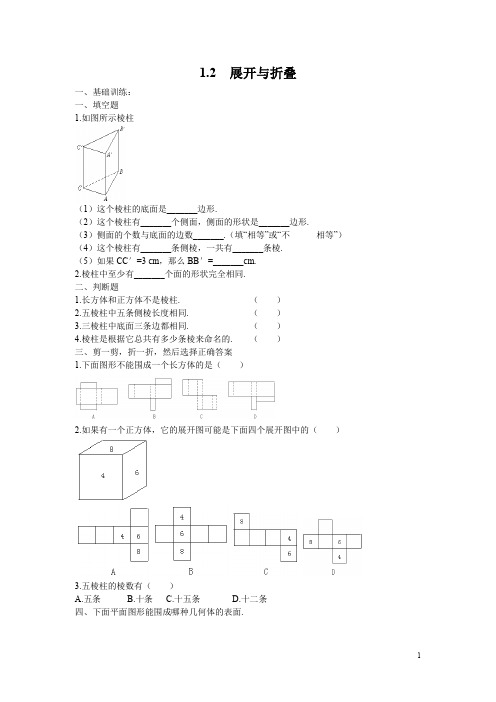 北师大版七年级数学上册1.2 展开与折叠课时同步练习(含答案)