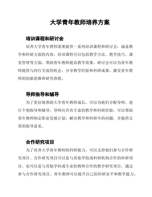 大学青年教师培养方案