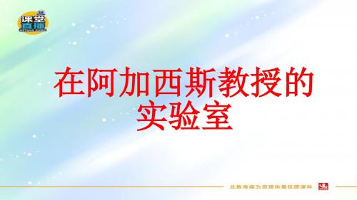 江苏版七年级语文上册优质课件   第20课《在阿加西斯教授的实验室》课件