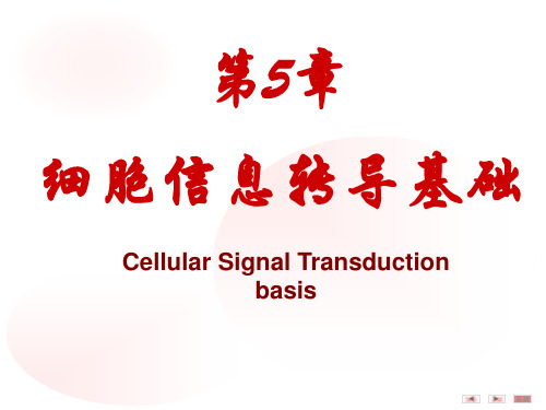 第五章信号转导ppt课件