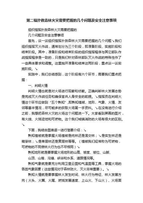 第二稿扑救森林火灾需要把握的几个问题及安全注意事项