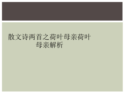 散文诗两首之荷叶母亲荷叶母亲解析