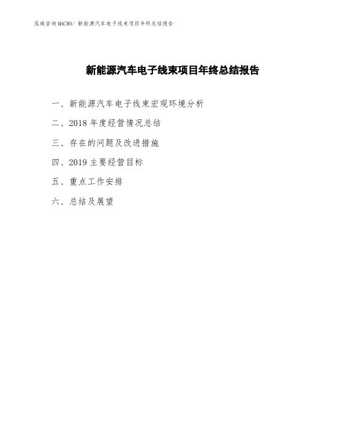 新能源汽车电子线束项目年终总结报告
