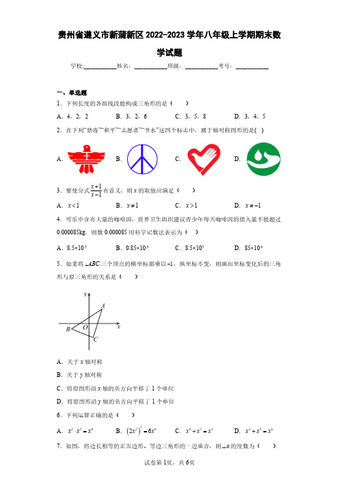 贵州省遵义市新蒲新区2022-2023学年八年级上学期期末数学试题(含答案解析)