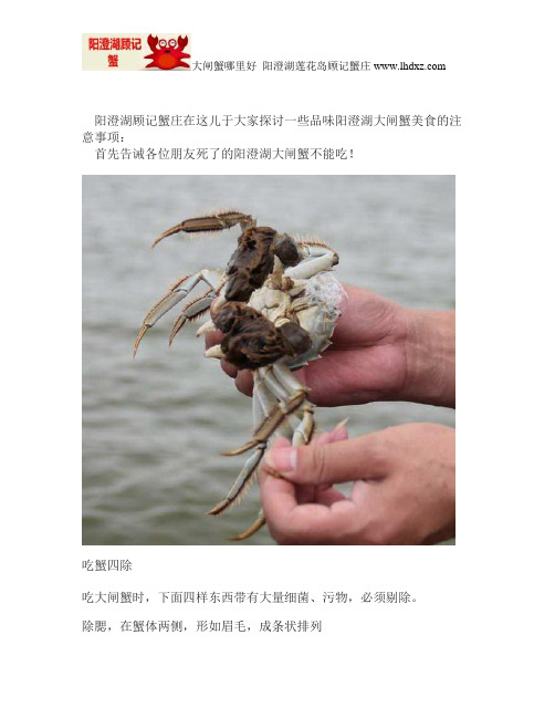 阳澄湖大闸蟹怎么吃