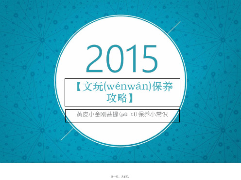 【文玩保养攻略】黄皮小金刚菩提保养小常识标准版文档