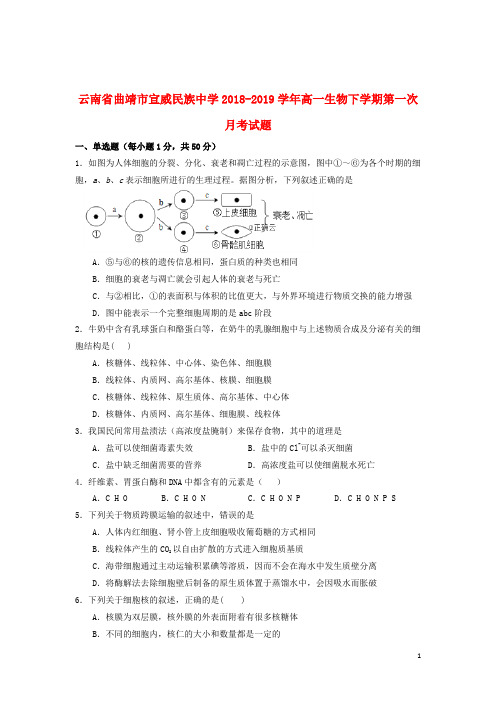 云南省曲靖市宣威民族中学2018_2019学年高一生物下学期第一次月考试题