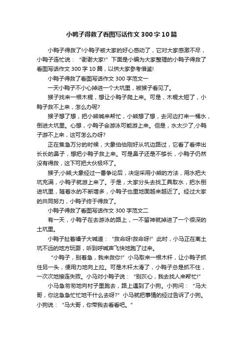 小鸭子得救了看图写话作文300字10篇