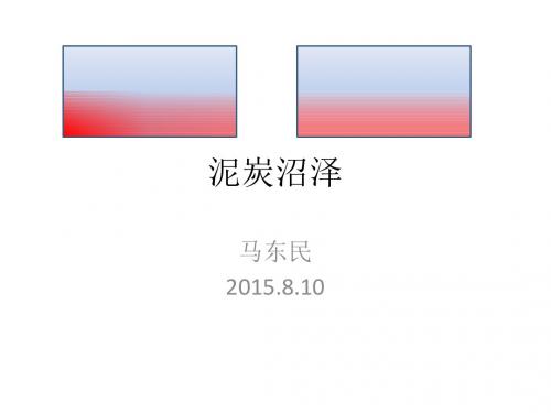 《煤田地质学》02讲附件4—泥炭沼泽