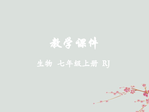 七年级生物上册第三单元生物圈中的绿色植物第二章被子植物的一生第一节种子的萌发教学课件