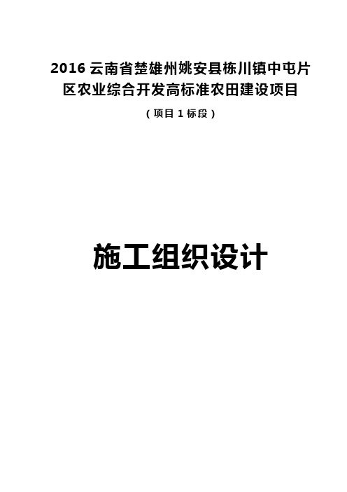 农业综合开发高标准农田建设项目施工组织设计