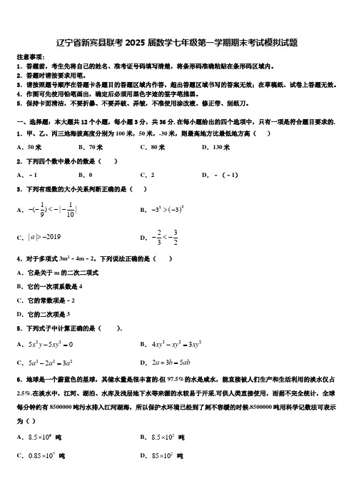 辽宁省新宾县联考2025届数学七年级第一学期期末考试模拟试题含解析