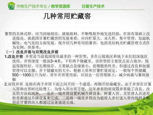 几种常用贮藏窖.