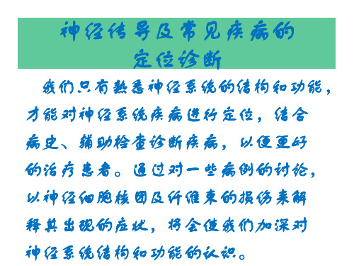 神经传导及常见疾病的定位诊断