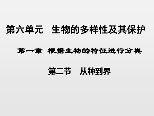 人教版八年级生物上册6.1.2从种到界新课课件(31张ppt)