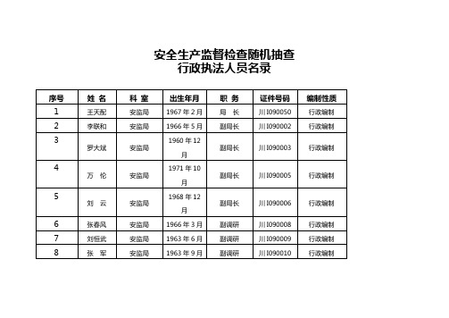 安全生产监督检查随机抽查