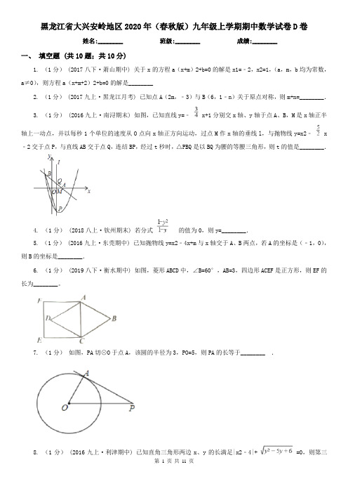 黑龙江省大兴安岭地区2020年(春秋版)九年级上学期期中数学试卷D卷