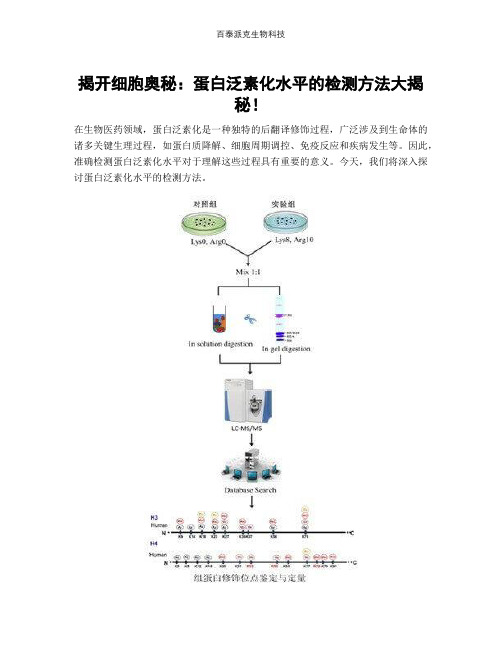 揭开细胞奥秘：蛋白泛素化水平的检测方法大揭秘!