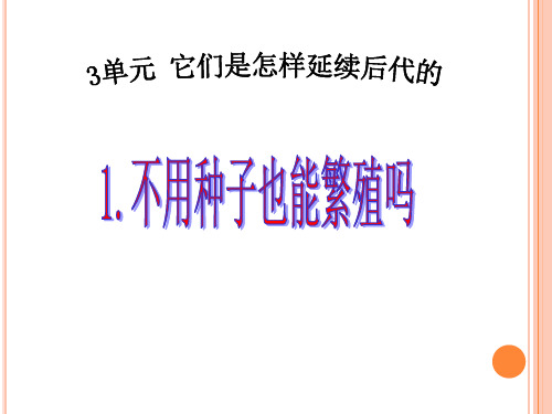 苏教版五年级科学11不用种子也能繁殖吗 课件