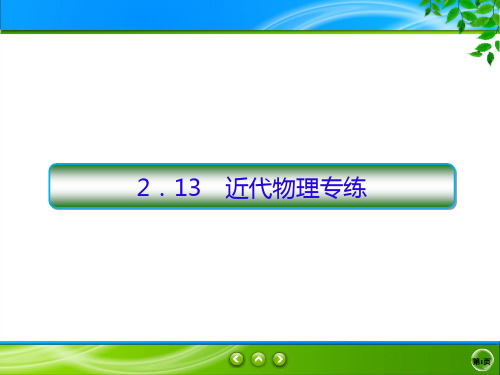 2020高考物理二轮抓分天天练课件：热点题型练+2.13