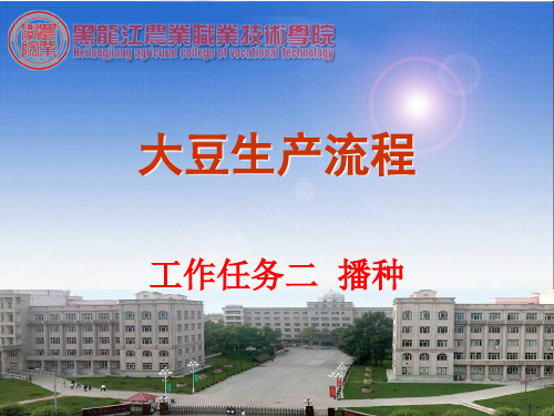 大豆任务二 播种