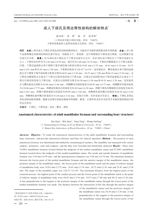 成人下颌孔及周边骨性结构的解剖特点