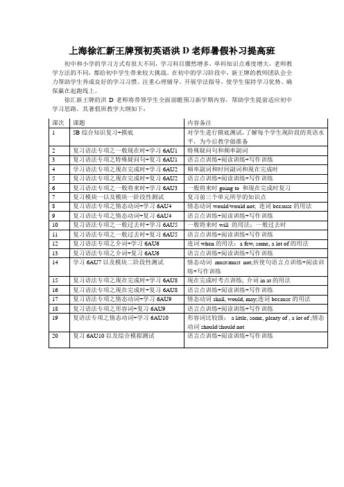 上海徐汇新王牌预初英语洪D老师暑假补习提高班