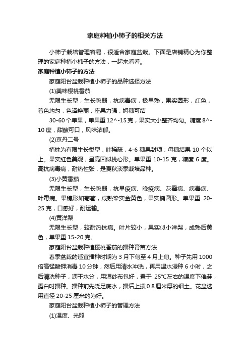 家庭种植小柿子的相关方法