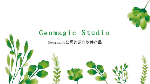 Geomagic Studio