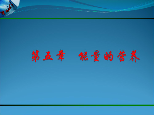 动物营养与饲料学第五章 能量的营养