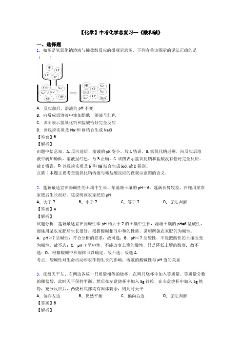 【化学】中考化学总复习--《酸和碱》