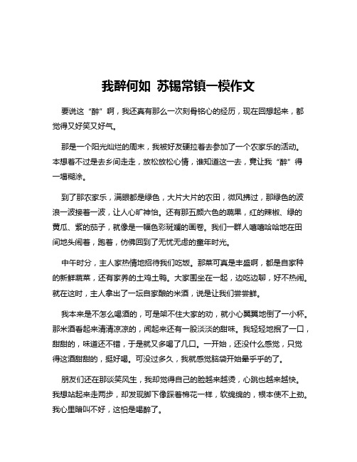 我醉何如 苏锡常镇一模作文