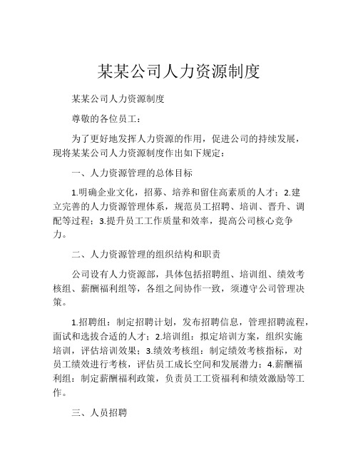 某某公司人力资源制度