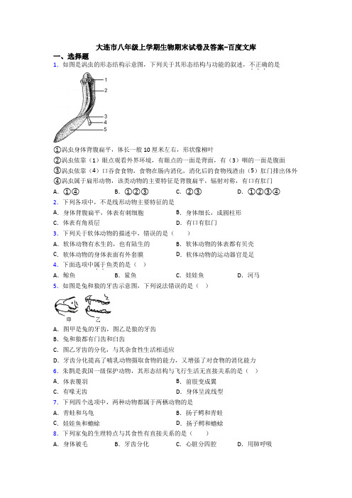 大连市八年级上学期生物期末试卷及答案-百度文库