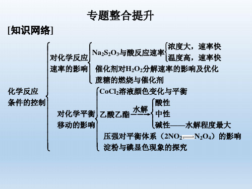 浙江专用2017_2018学年高中化学专题四化学反应条件的控制专题整合提升课件苏教版选修