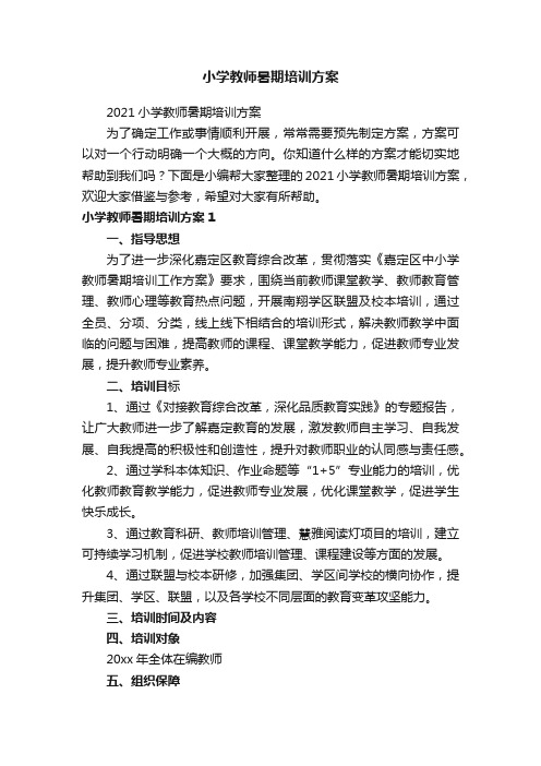 小学教师暑期培训方案